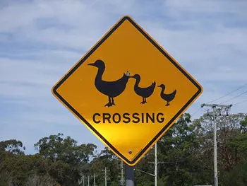 The Psychology of Colour and Clarity in Communication